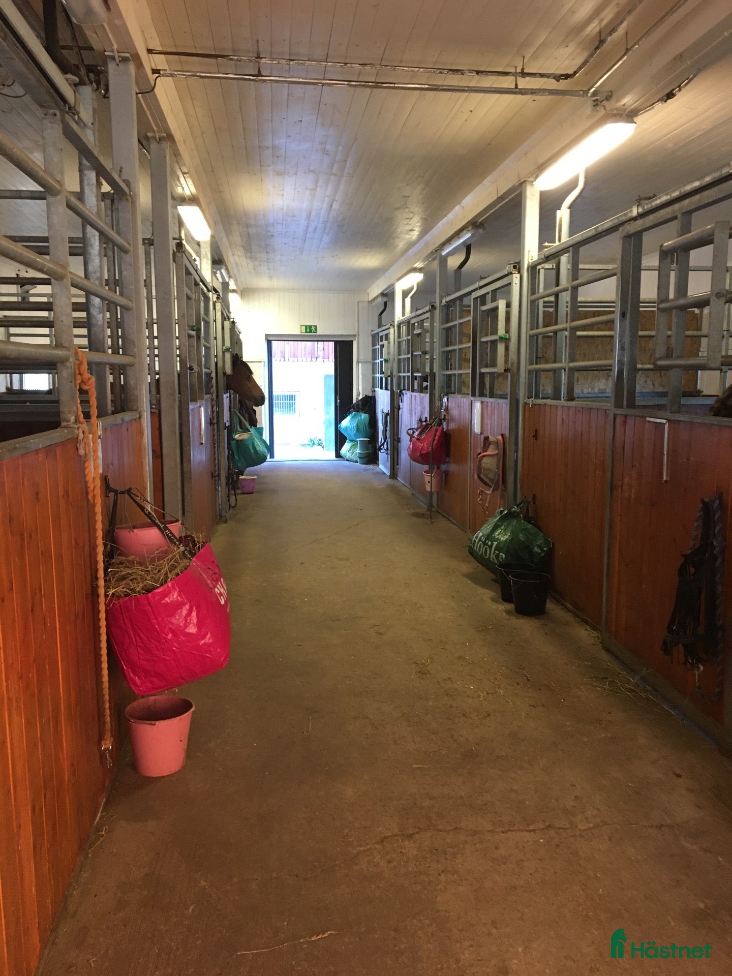  stallplats Stallplats - Annons 2