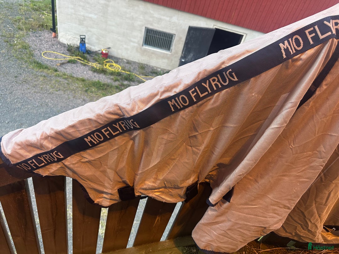 Täcken hästutrustning till salu: Säljer billiga flugtäcken! i Forserum - Annons 5