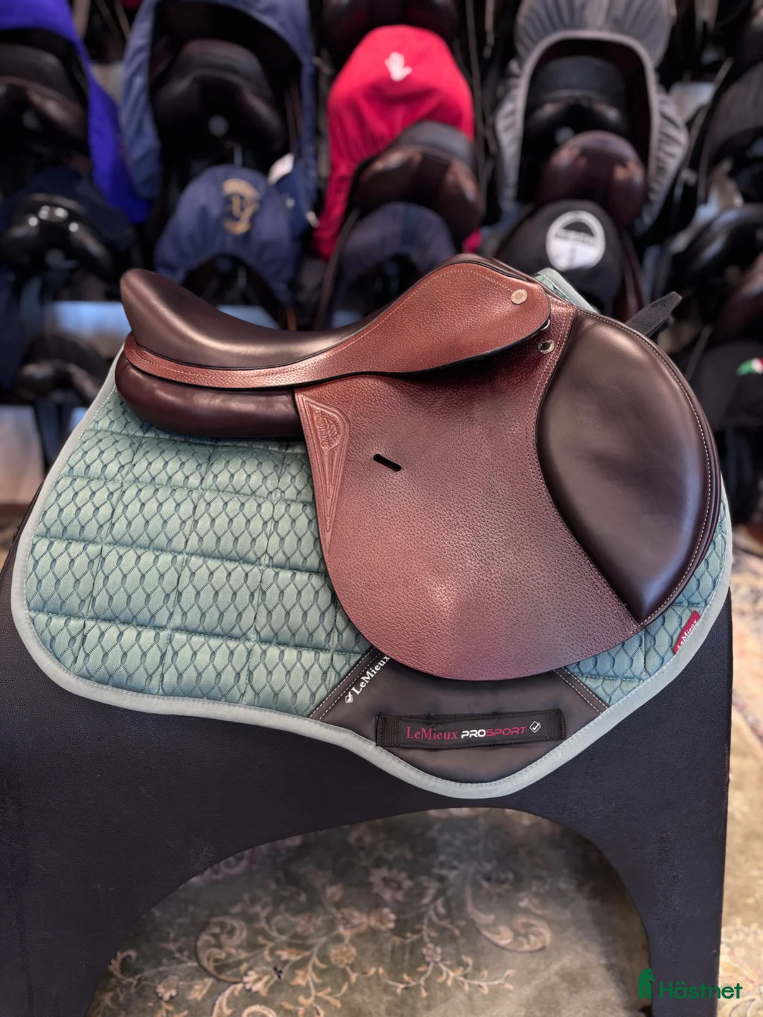 Sadlar hästutrustning till salu: Equiline E5 🤍 - Annons 2