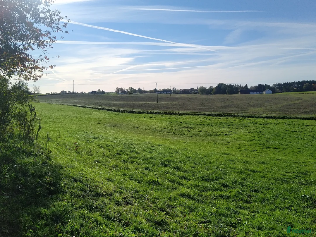  stallplats finnes: Hästboxar att hyra på en fantastisk tomt.  i Tomelilla - Annons 8