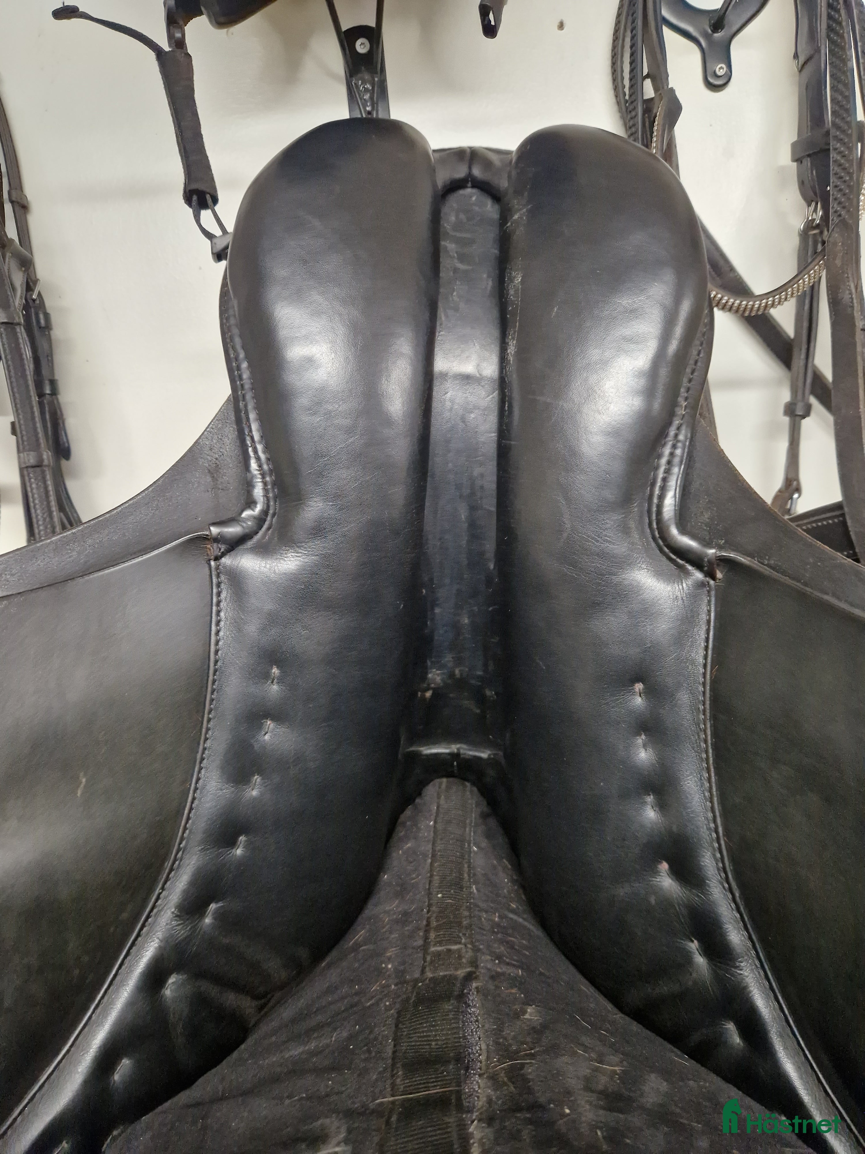 Sadlar hästutrustning Passier 16,5" i Burseryd - Annons 3