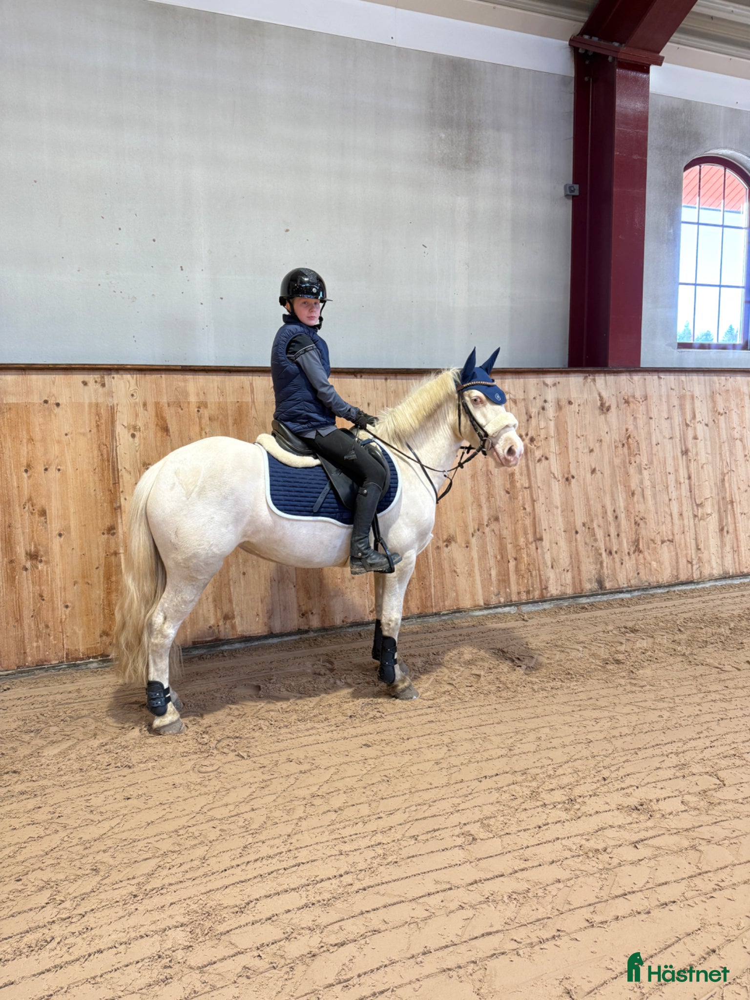  hästar Talangfull drömponny! - Annons 13