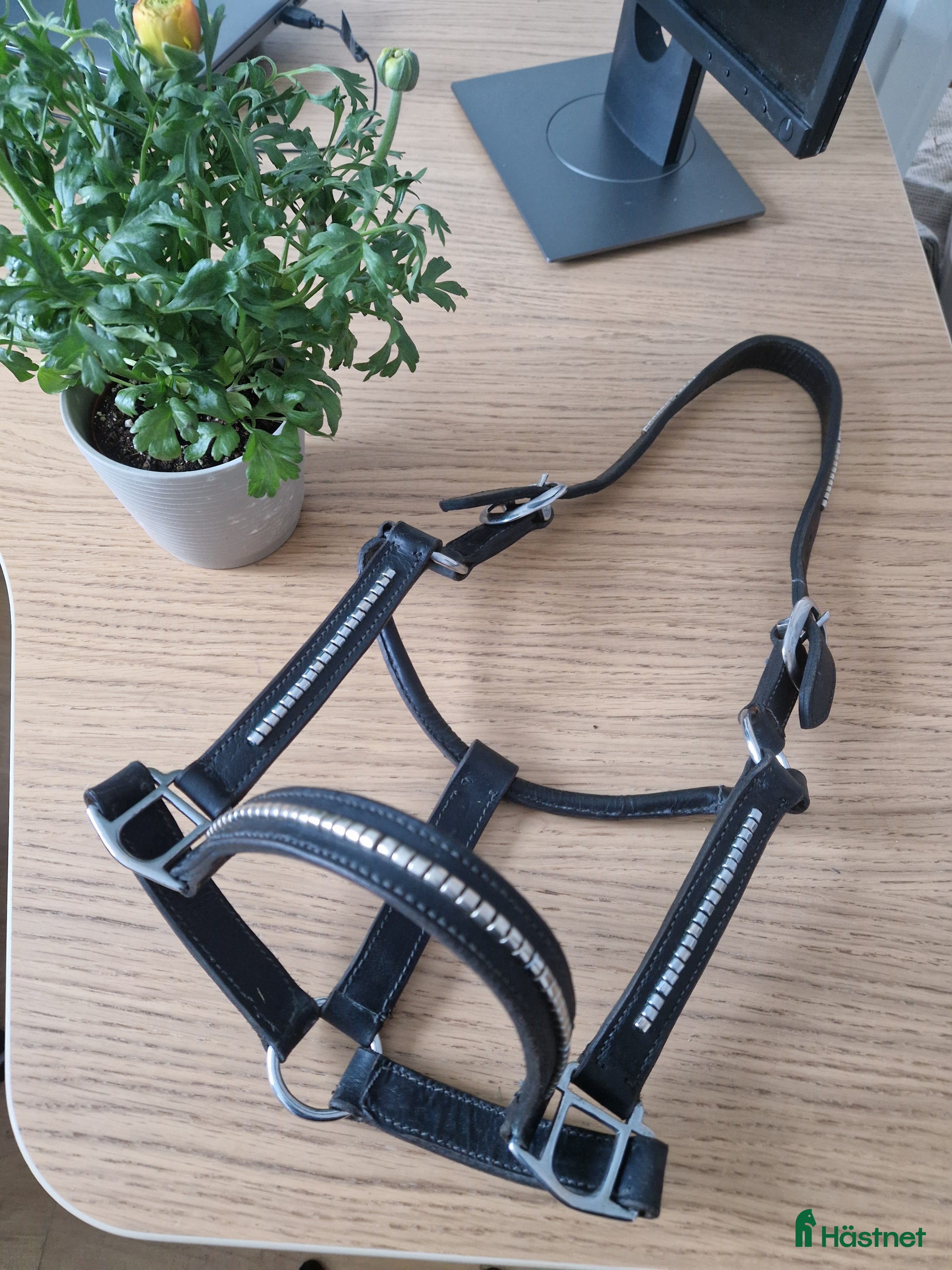 Övrig Hästutrustning hästutrustning lädergrimma - COB - Svart med klinker i Arboga - Annons 22