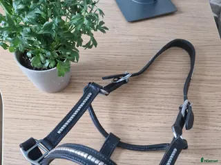 Övrig Hästutrustning hästutrustning lädergrimma - COB - Svart med klinker i Arboga - Annons 22