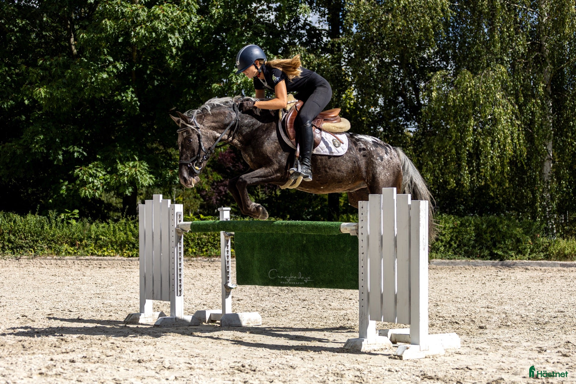  hästar Amazing C-pony  - Annons 17