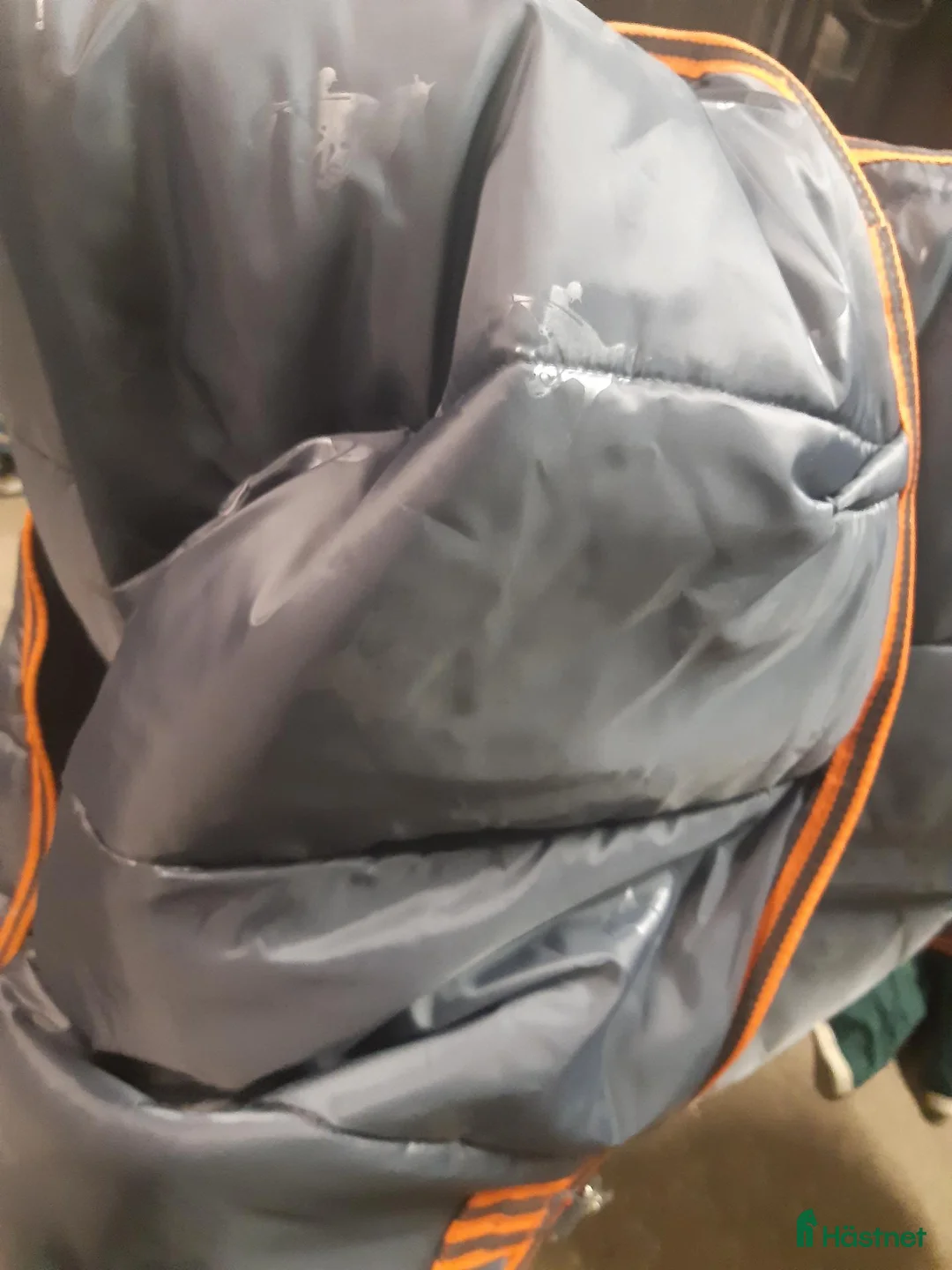 Täcken hästutrustning till salu: Liner 300g stl.145 - Annons 4