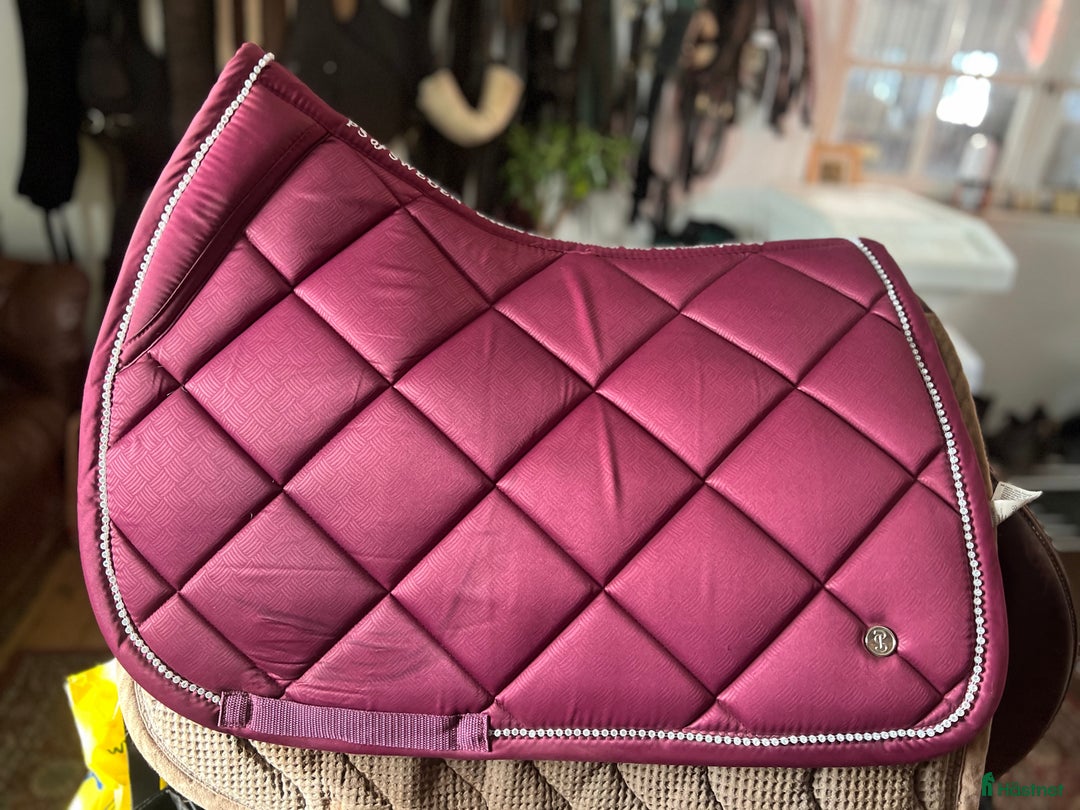 Schabrak & Vojlockar hästutrustning till salu: Ps of sweden schabrak  i Kattarp - Annons 2