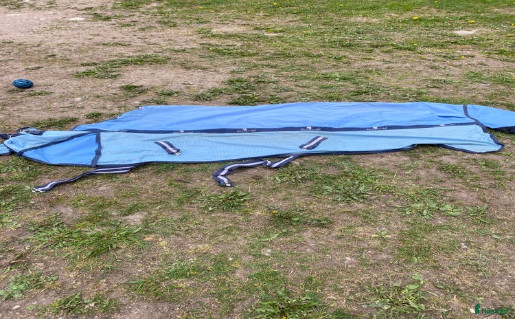 Täcken hästutrustning till salu i Linghem - Annons 6