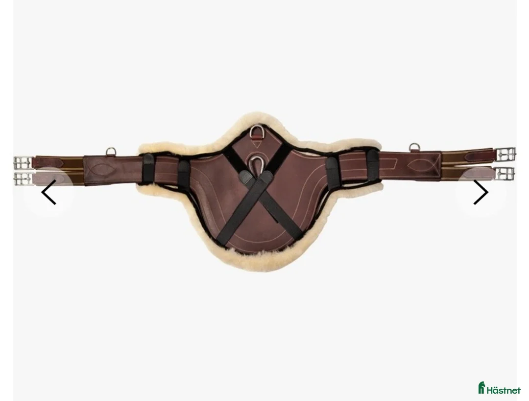 Sadeltillbehör hästutrustning till salu: Fårskinns skydd till hopp platta - Annons 3