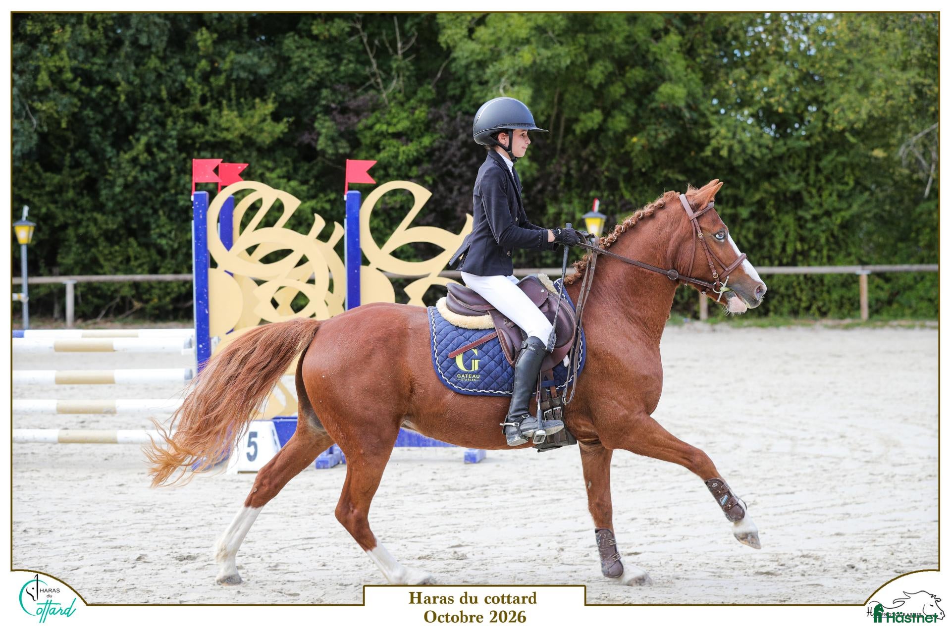  hästar 130 B Pony Jumping in France scope MSVB 1M + - Annons 1