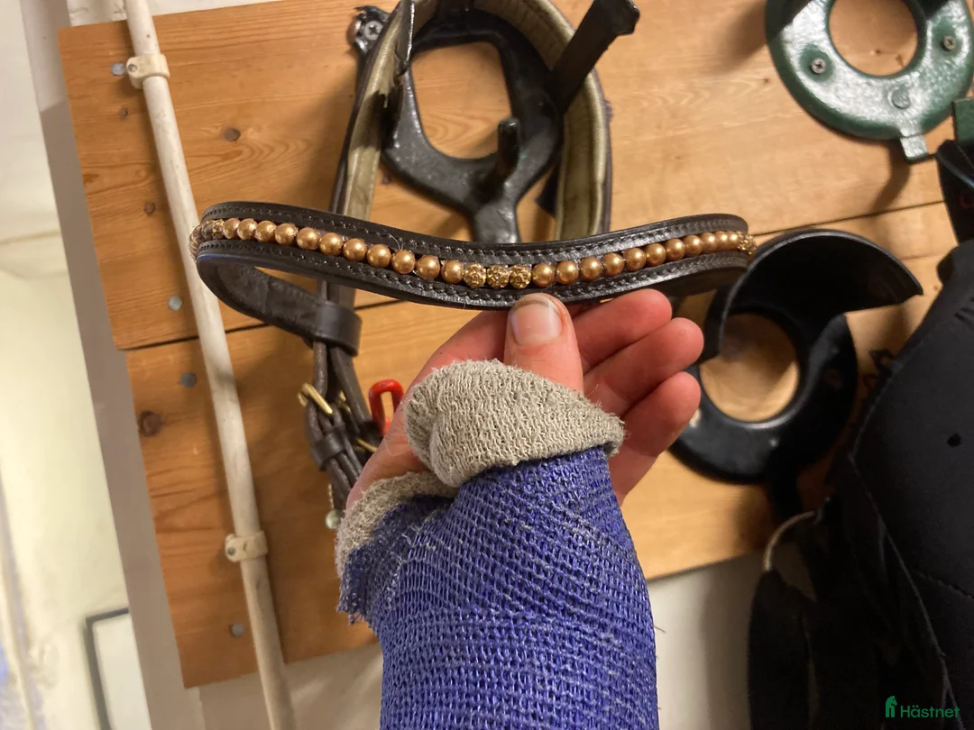 Träns hästutrustning till salu: Fint dressyr träns⚜️ i Alnö - Annons 4