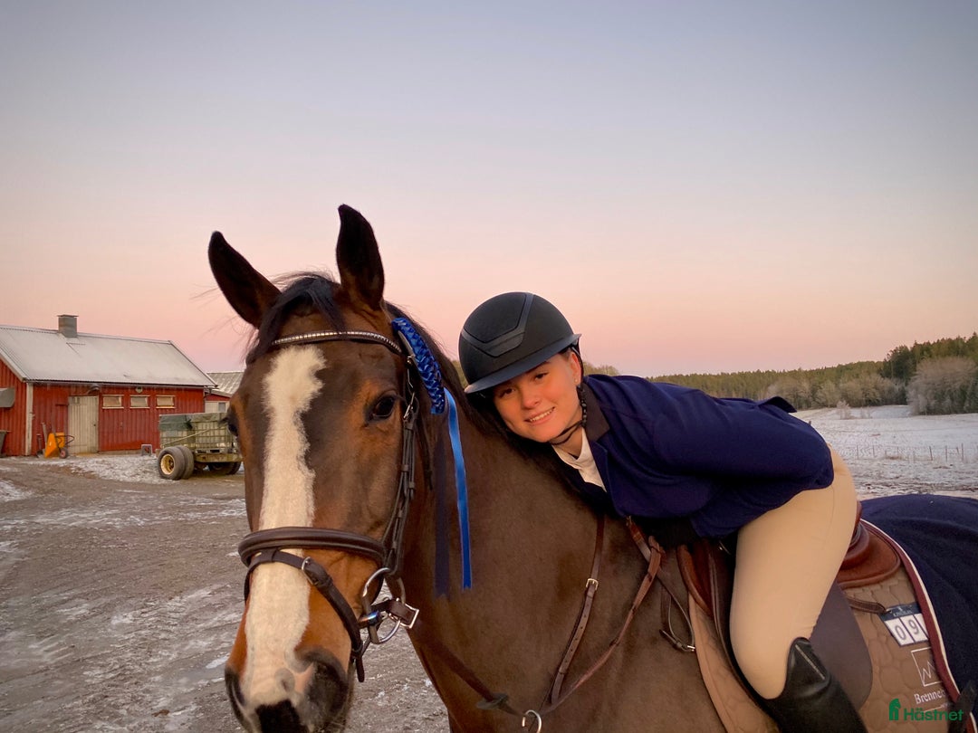  hästjobb finnes: Hästjobb sökes!  i Mölndal - Annons 2