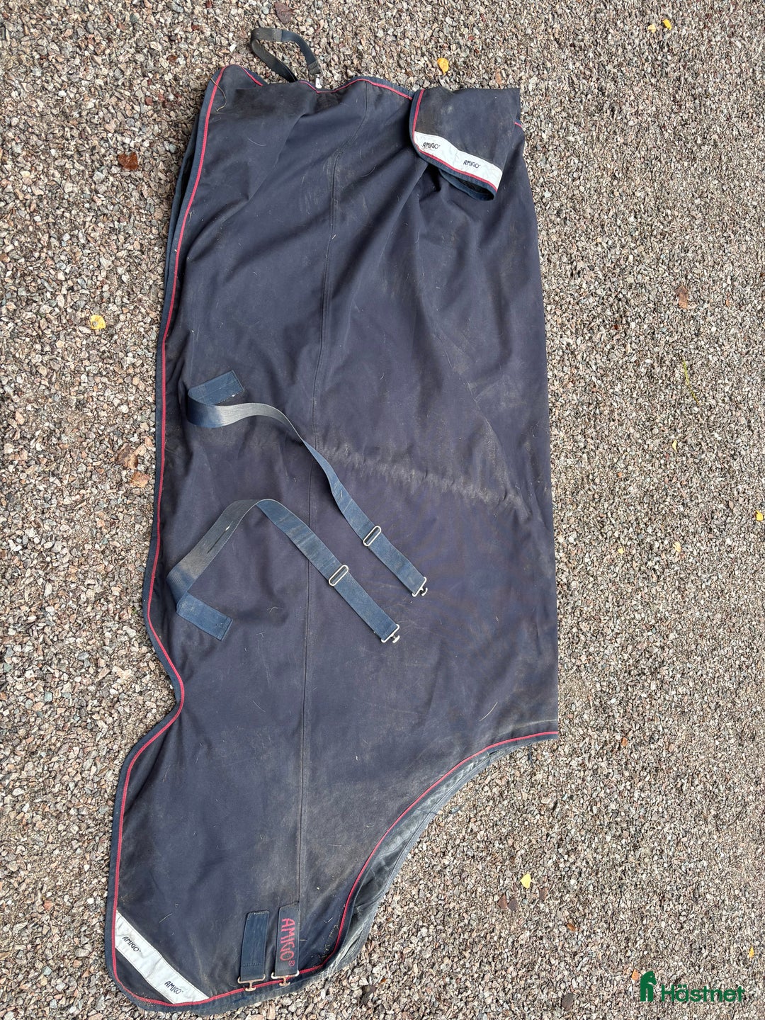 Täcken hästutrustning till salu: Amigo XL Lite i Sollerön - Annons 1