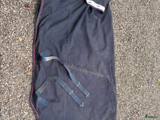 Täcken hästutrustning till salu: Amigo XL Lite i Sollerön - Annons 15