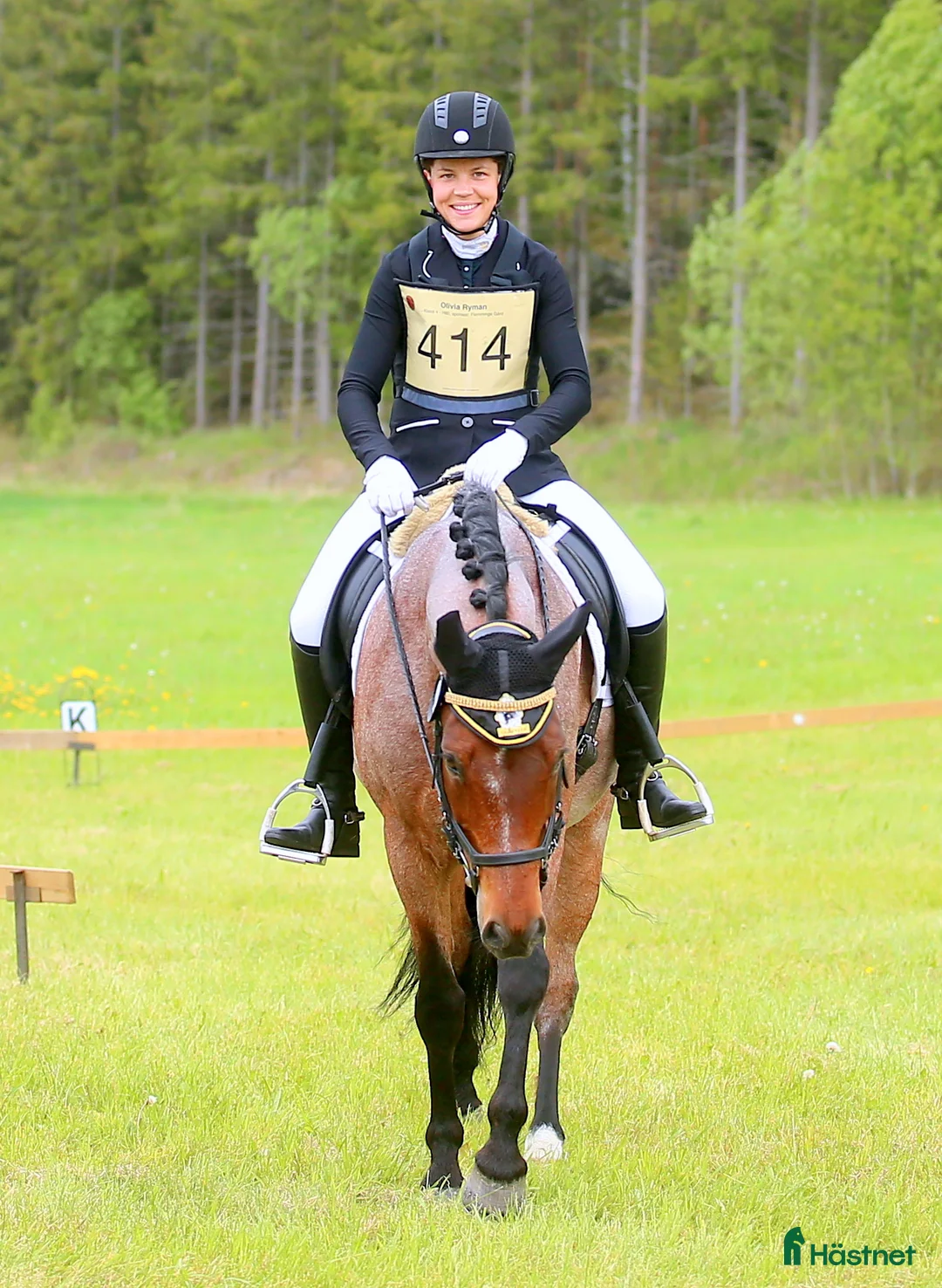  hästservice finnes: Utbilning/Försäljning med gedigen grundutbildning - Annons 12