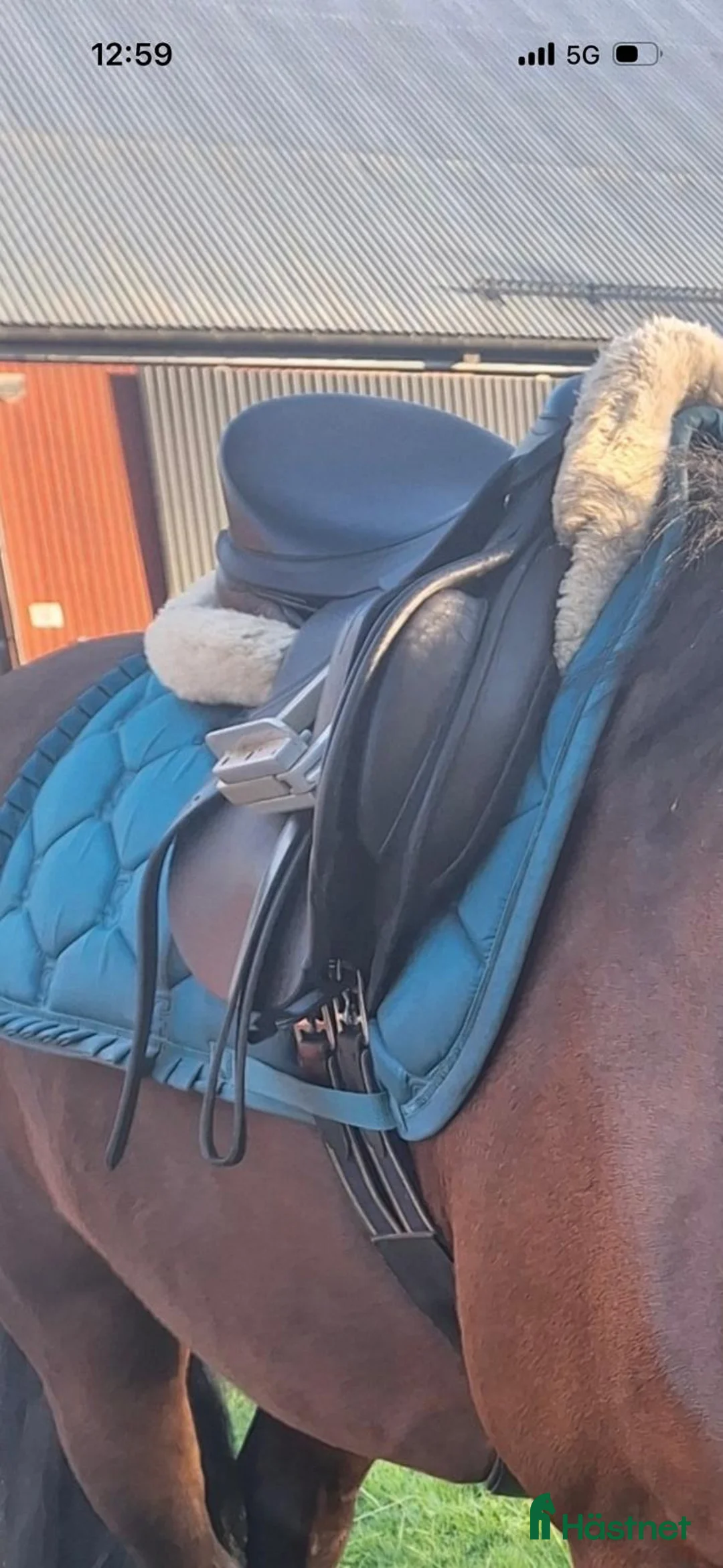 Sadlar hästutrustning till salu: Thorowgood t8 allround  i Alingsås - Annons 3