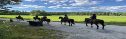  stallplats finnes: Lösdrift nära Södertälje  - Annons 17