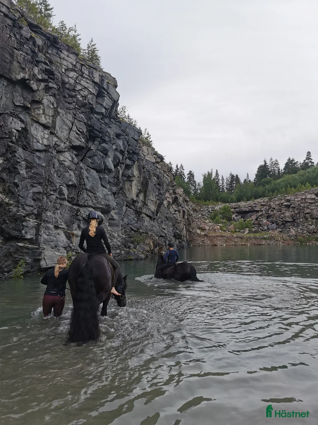 Allround hästar sökes: Letar efter ny fyrbent vän i Götene - Annons 3