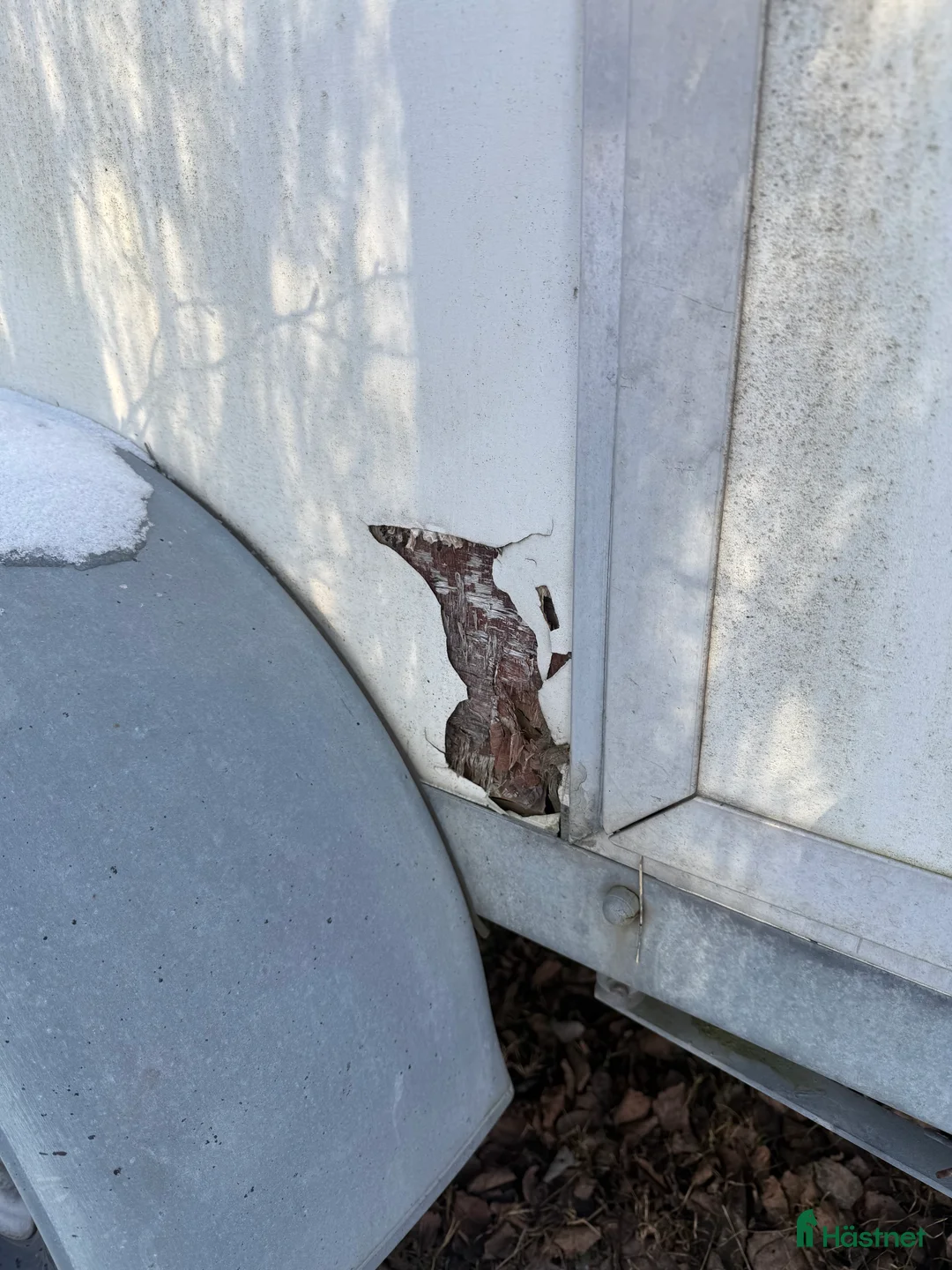 Hästtransporter  fordon & transport till salu: Boj Bravo i Östervåla - Annons 8