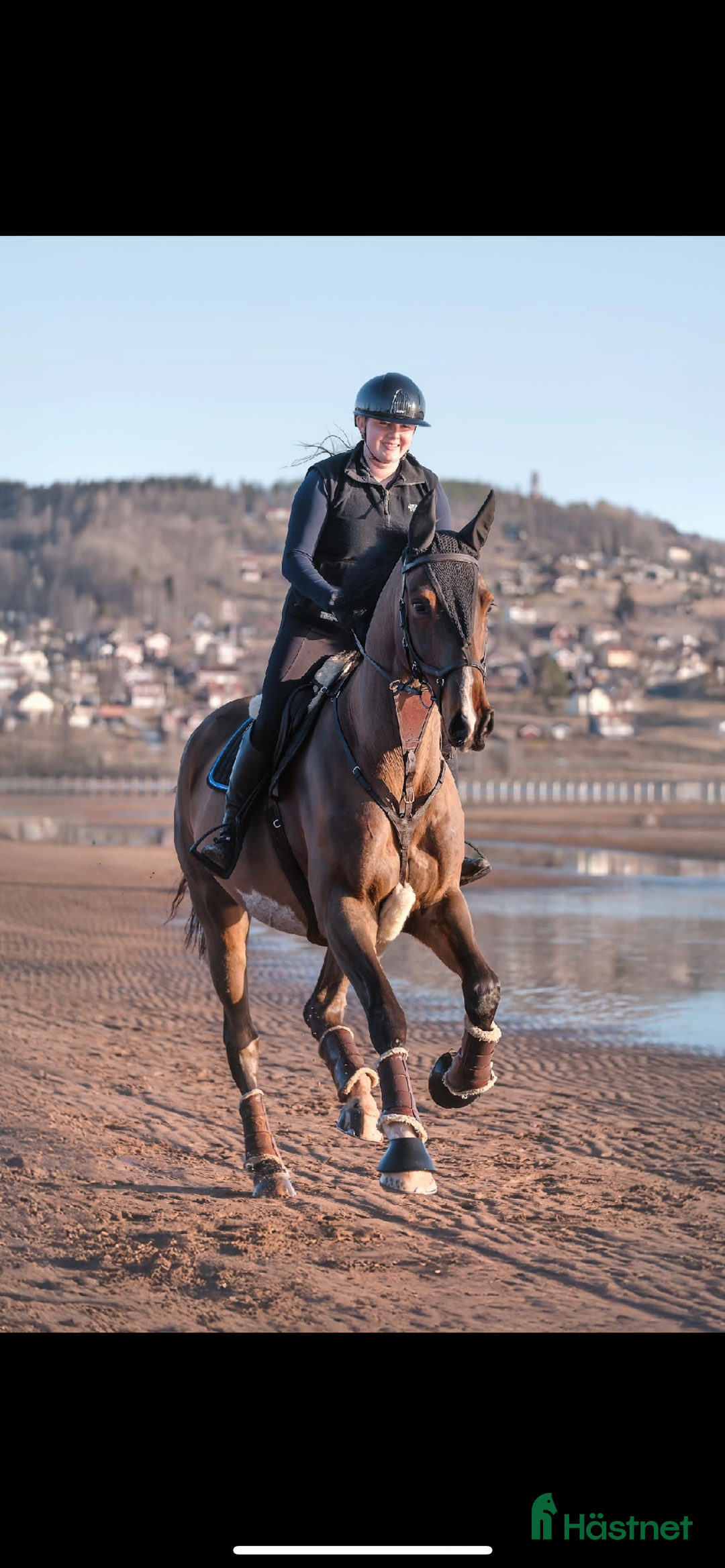 Hoppning hästar till salu: Hopp/fälttävlanshäst med allt man söker! 🌟 i Rättvik - Annons 4