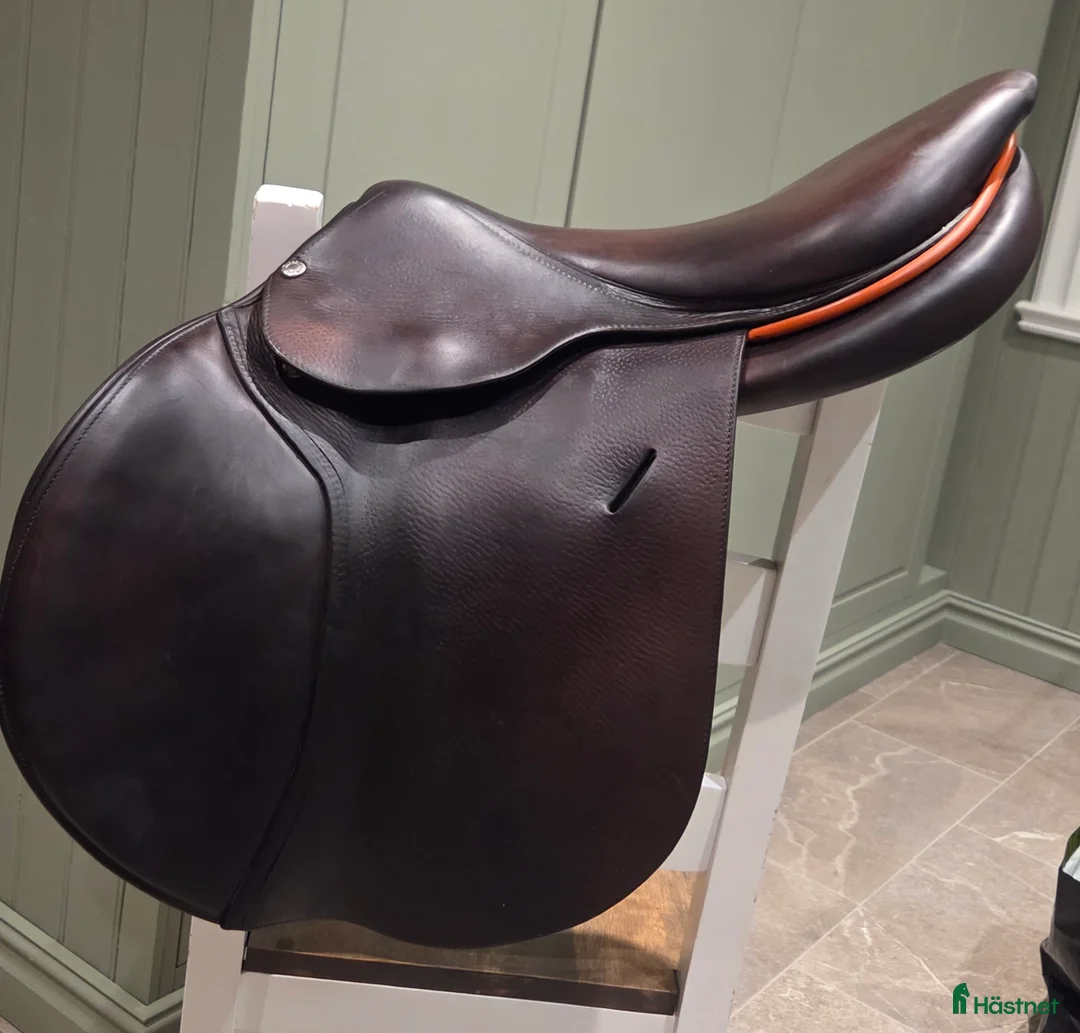 Sadlar hästutrustning till salu: Butet P sadel - Annons 1