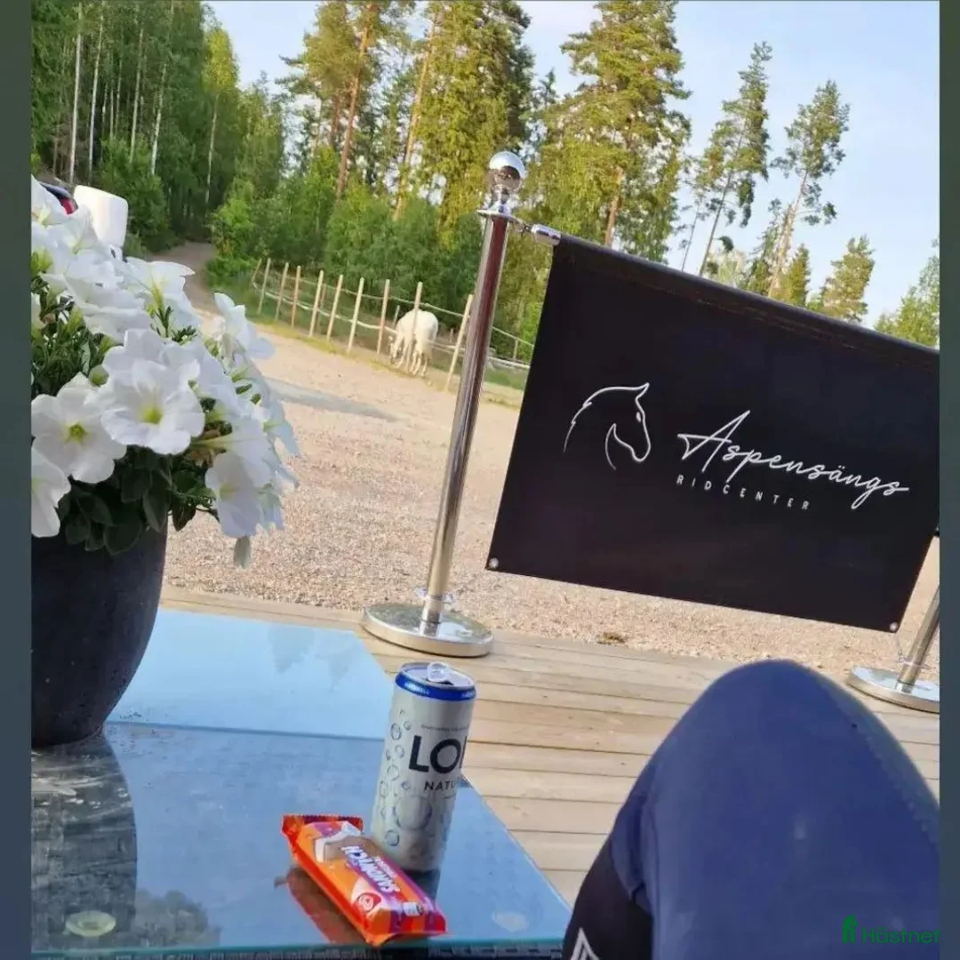  hästgårdar till salu: Ridcenter uthyres i Lindesberg 2h från Stockholm - Annons 15