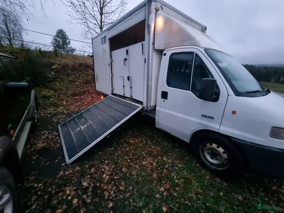 Hästlastbilar  fordon & transport till salu: Hästlastbil/Hästtransporter - Annons 1