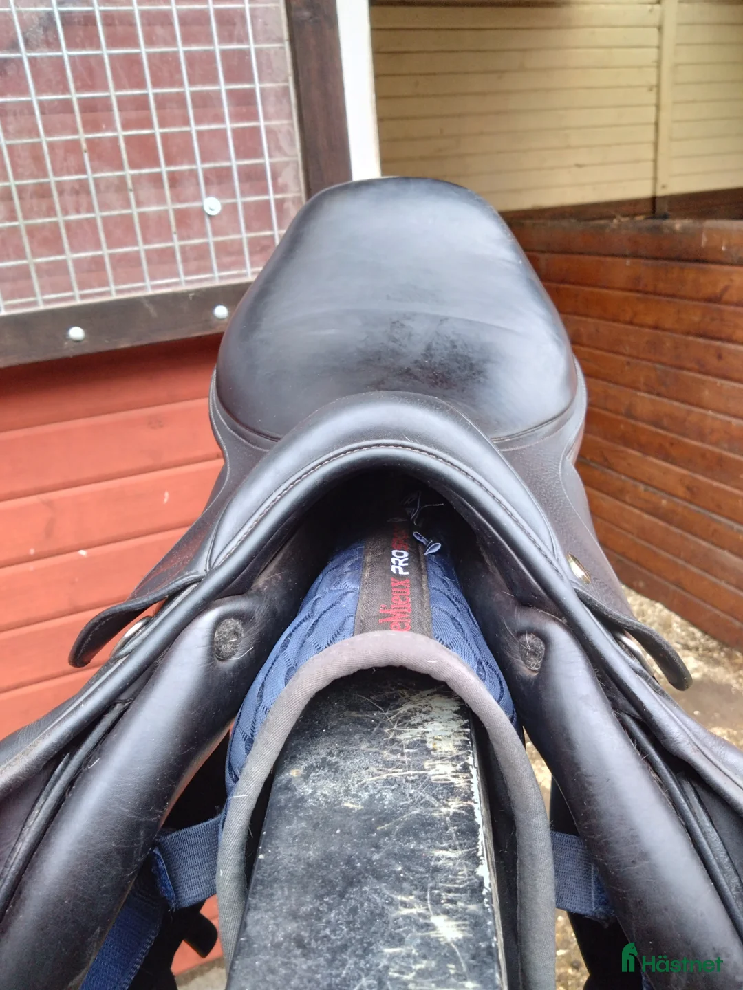 Sadlar hästutrustning till salu: Globus, hoppmodell svart - Annons 7