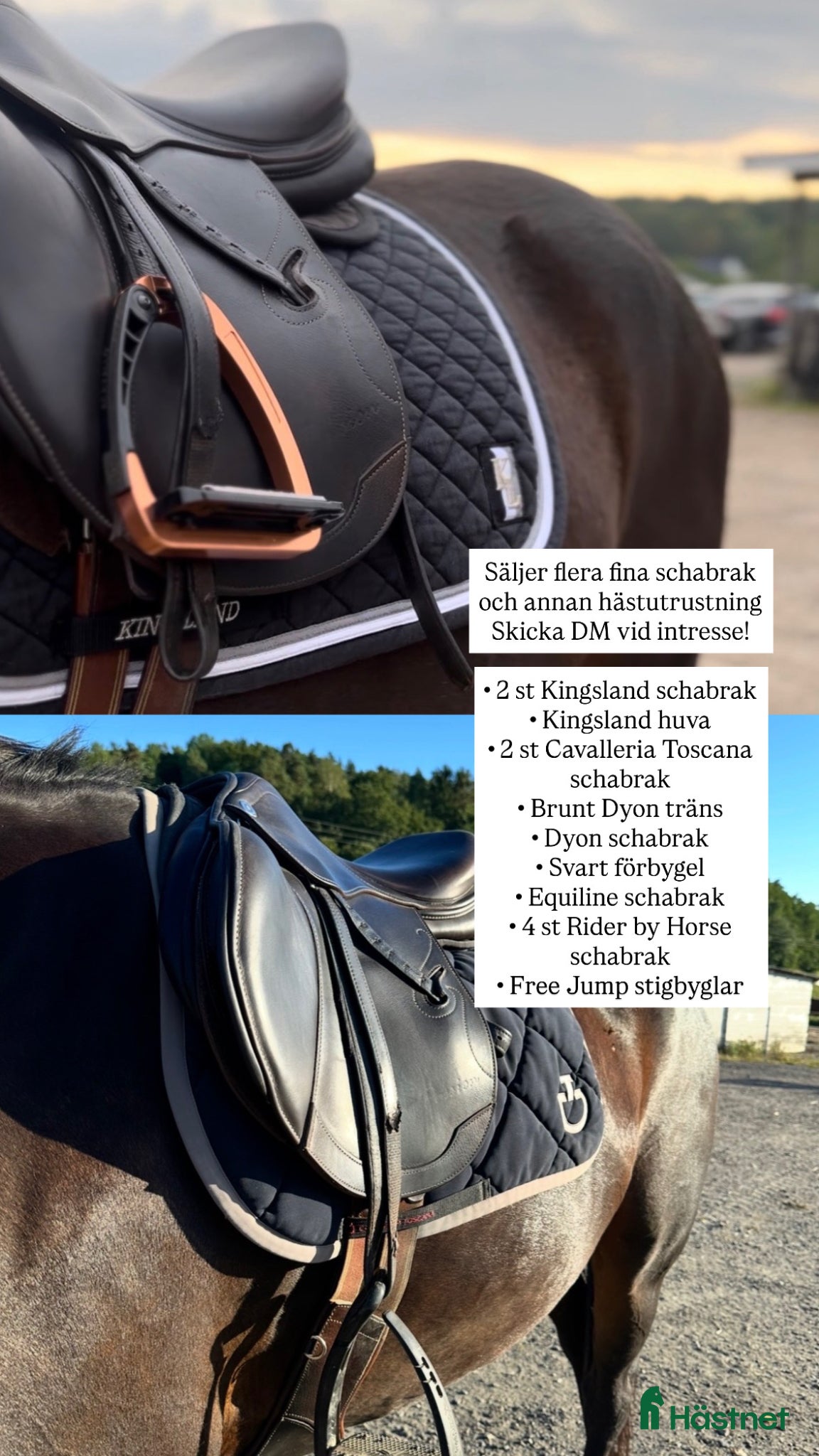 Övrig Hästutrustning hästutrustning Massa märkes utrustning tillsalu!! - Annons 1