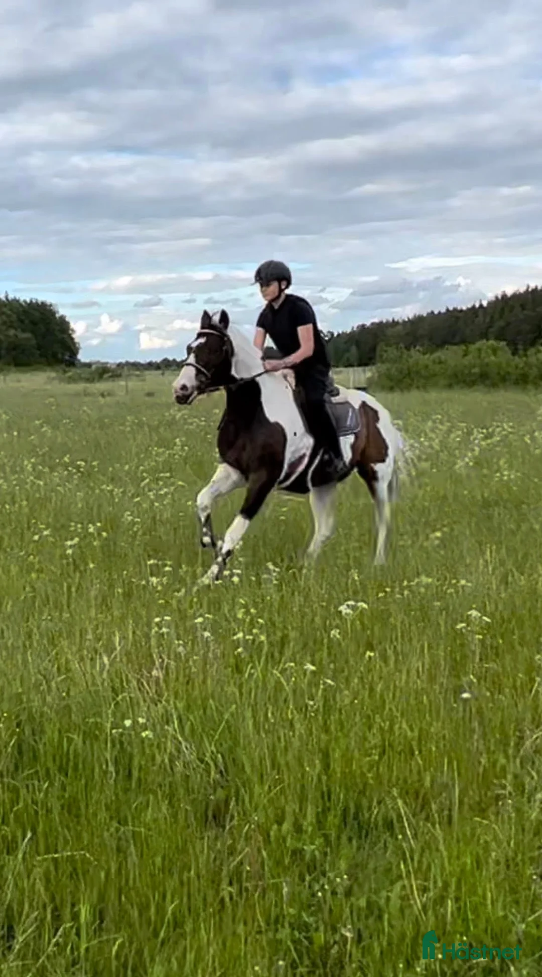 stallplats finnes: Boxplats finns på Lennarsnäs, Kungsängen i Kungsängen - Annons 3