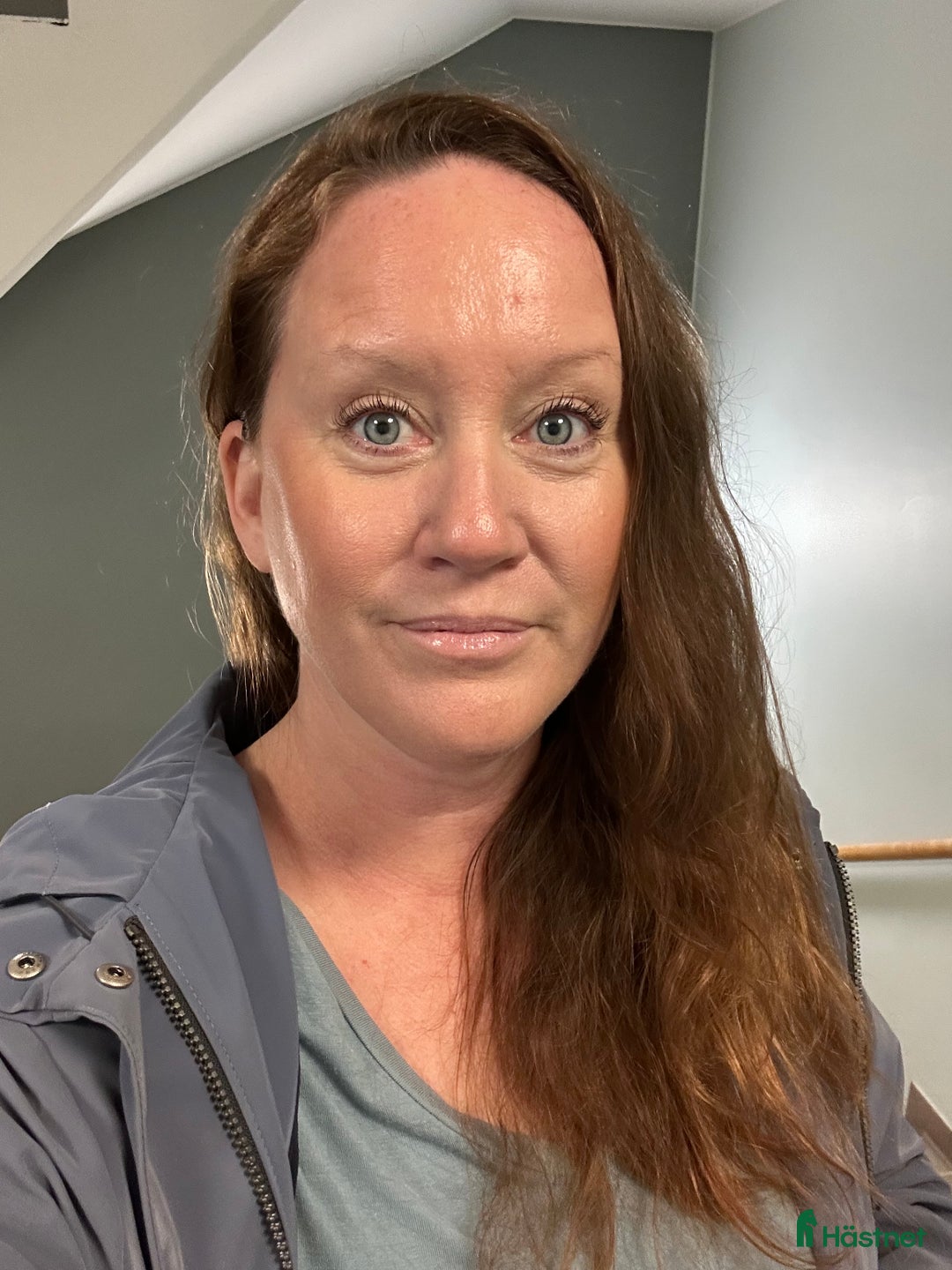 Galleribild {{count}}