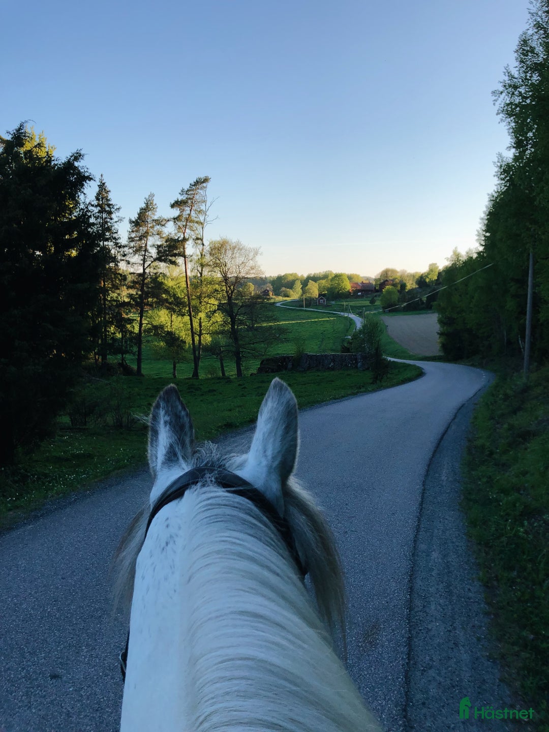  stallplats finnes: 3 boxplatser finnes i mysigt stall  i Riala - Annons 5