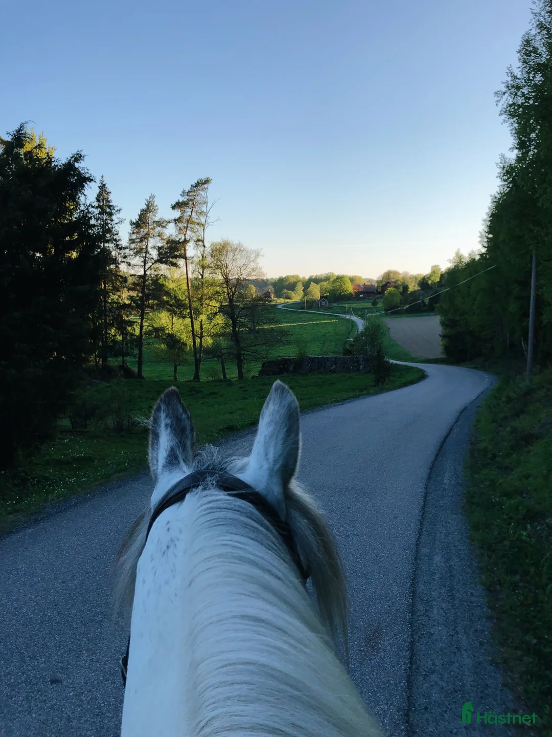  stallplats finnes: 3 boxplatser finnes i mysigt stall  i Riala - Annons 5