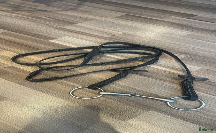 Bett hästutrustning till salu i Huddinge - Annons 18