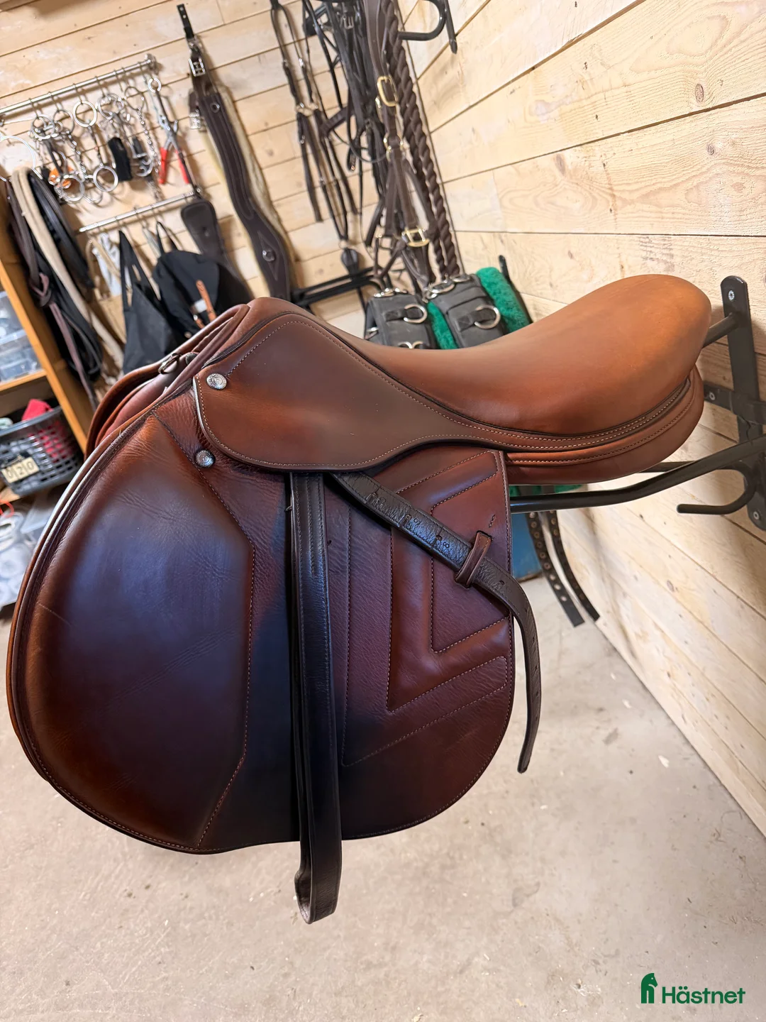 Sadlar hästutrustning till salu: Renaissance F2  i Avesta - Annons 2