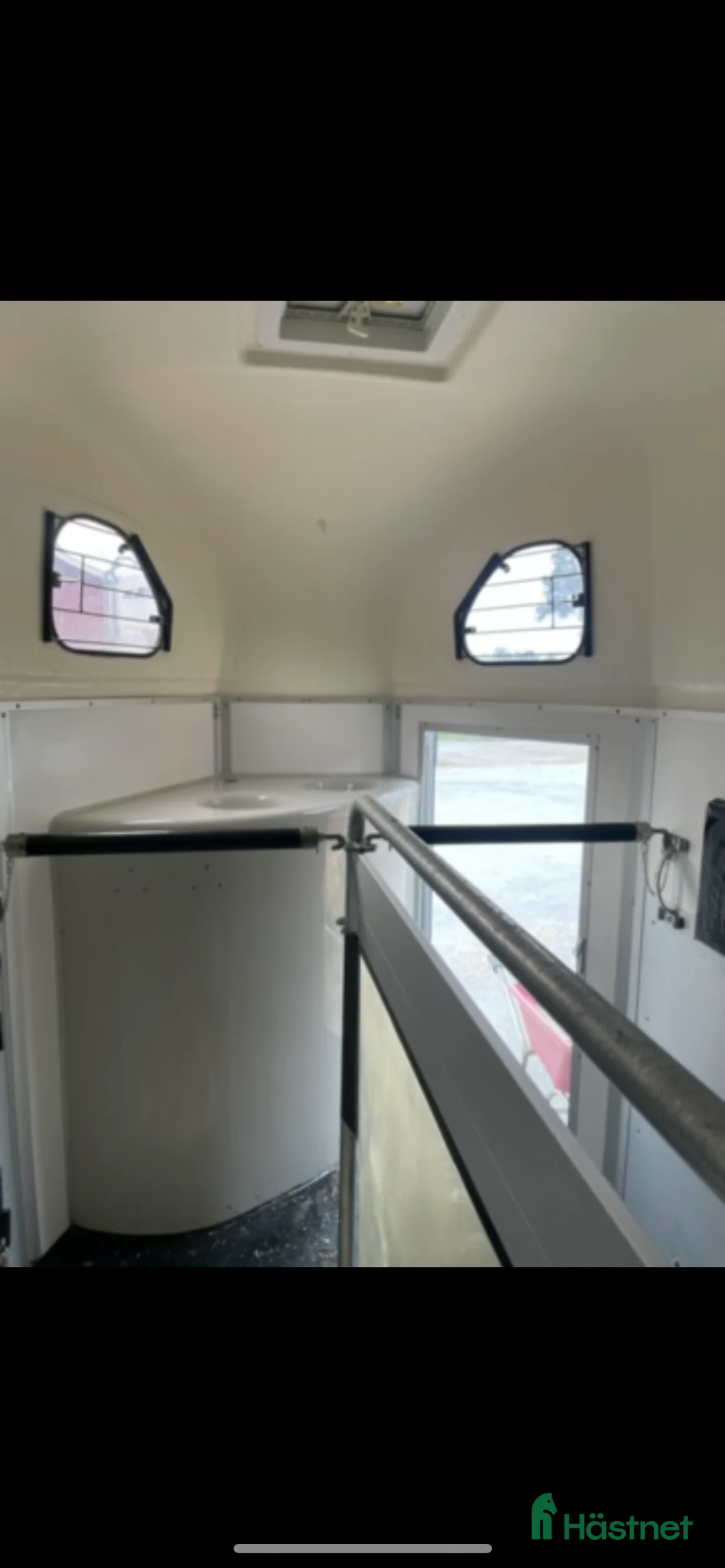 Hästtransporter  fordon & transport till salu: Cheval liberte gold  - Annons 2