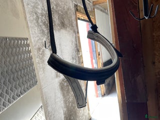 Träns hästutrustning till salu: Nosgrimma med matchande pannband i Västerås - Annons 15