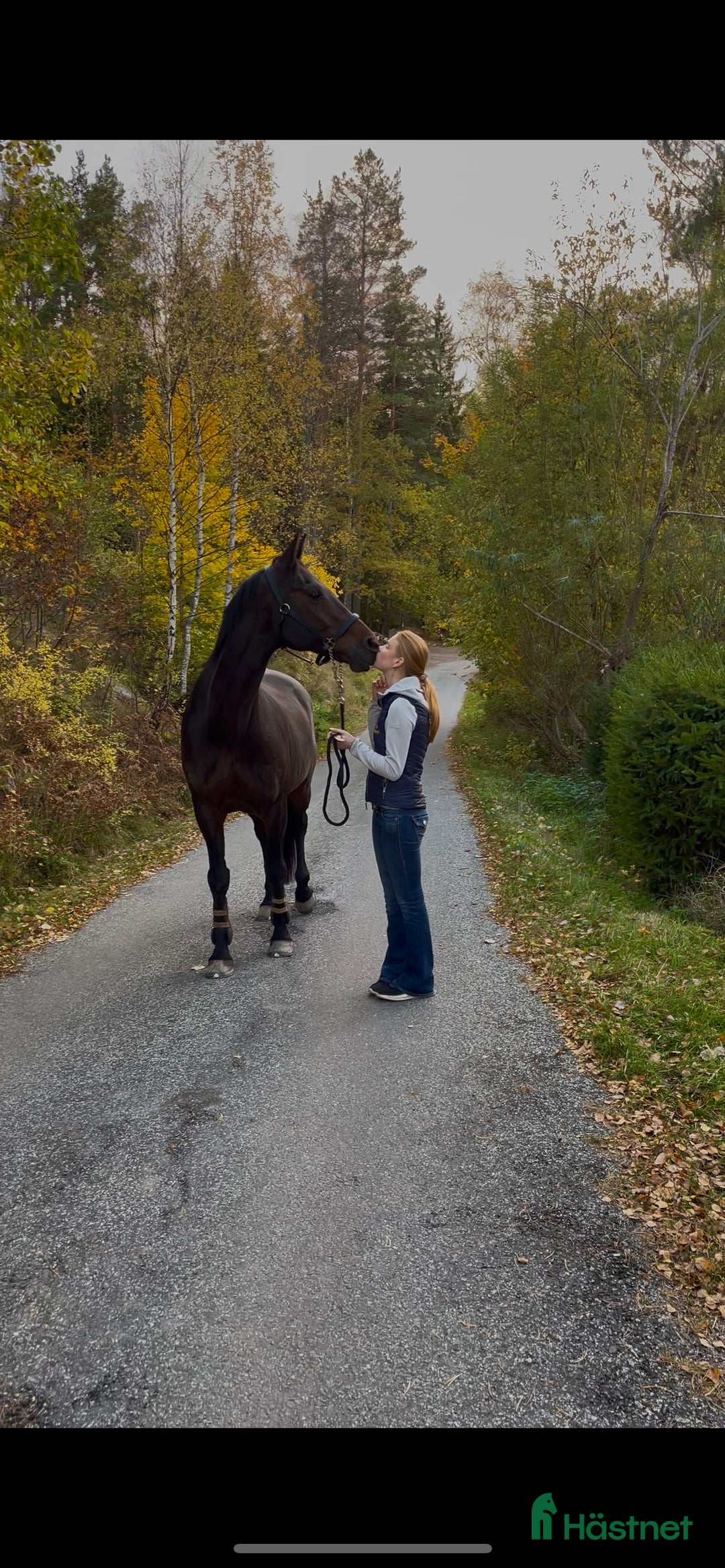 Galleribild {{count}}