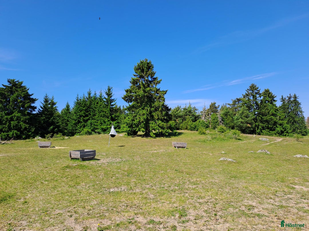  stallplats finnes: Kollektiv eller Service Adolfsbergs stallet i Bro - Annons 15