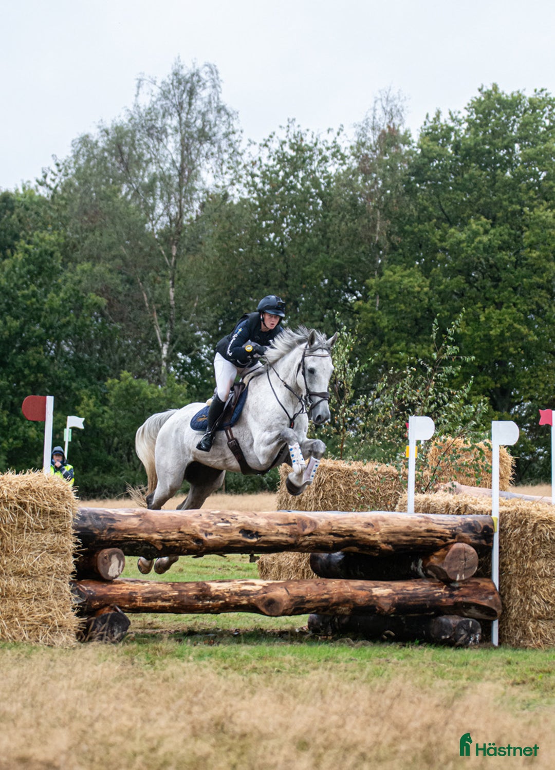 Dressyr hästar till salu: Terrängmaskin - Annons 2