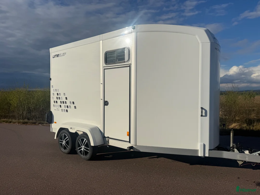 Hästtransporter  fordon & transport till salu: UME B60 -21 - Tillfälle! - Annons 1