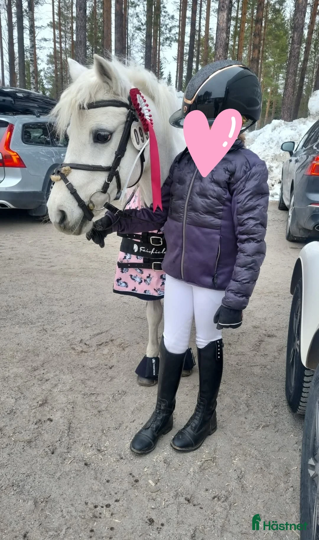 Allround hästar till salu: Fantastisk barnponny / läromästare  - Annons 10