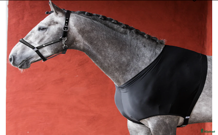 Täcken hästutrustning till salu i Granbergsdal - Annons 14