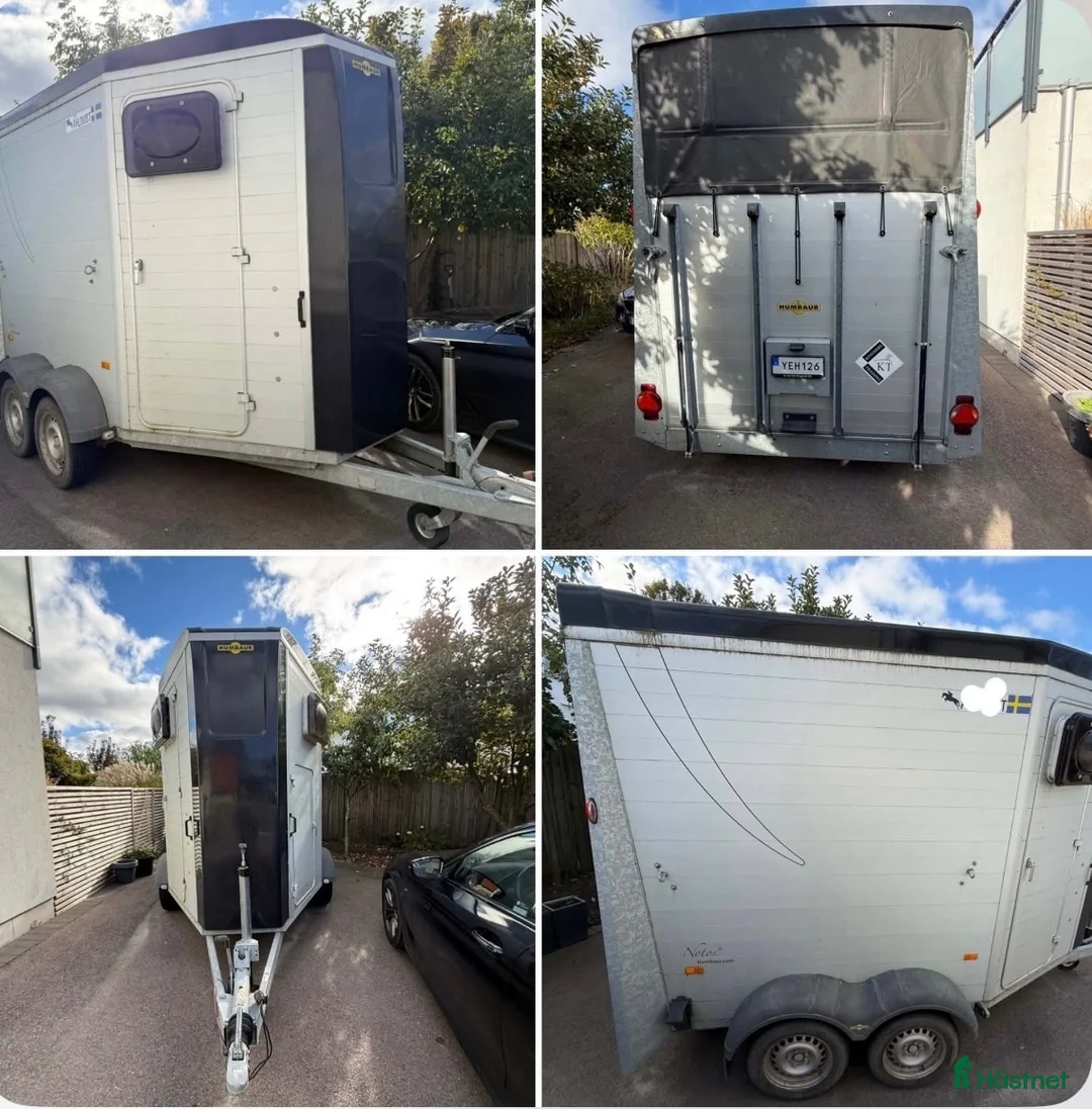 Hästtransporter  fordon & transport till salu: Humbauer hästsläp - Annons 1