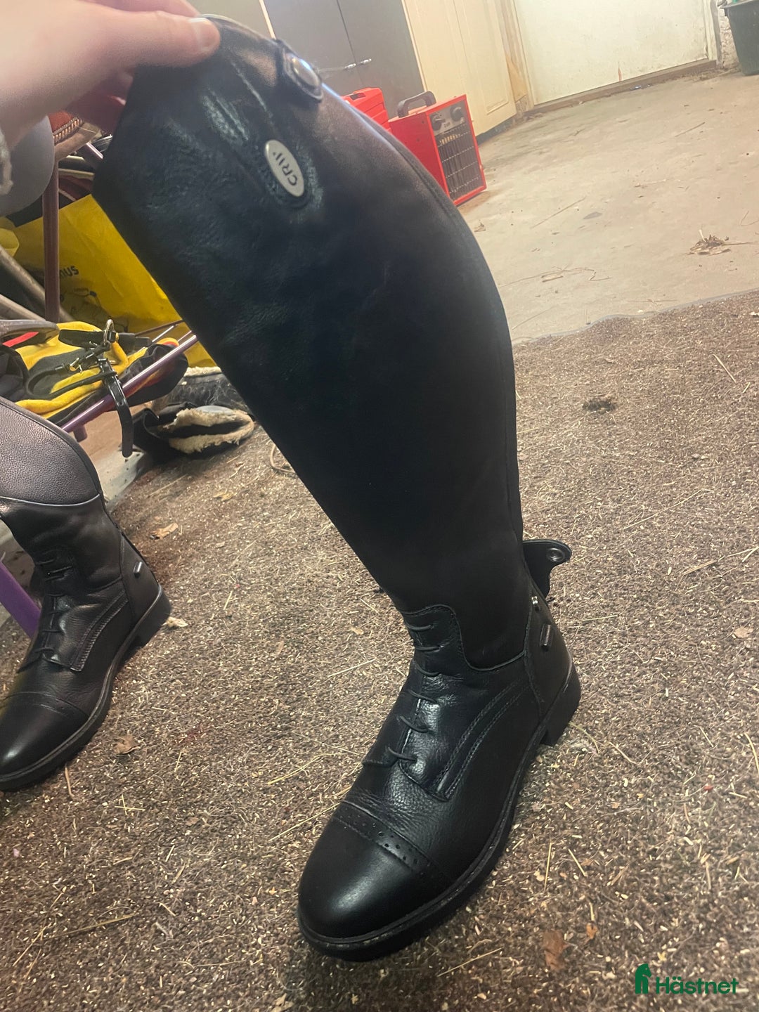 Ridstövlar ryttarutrustning till salu: Ridstövlar  i Falun - Annons 3