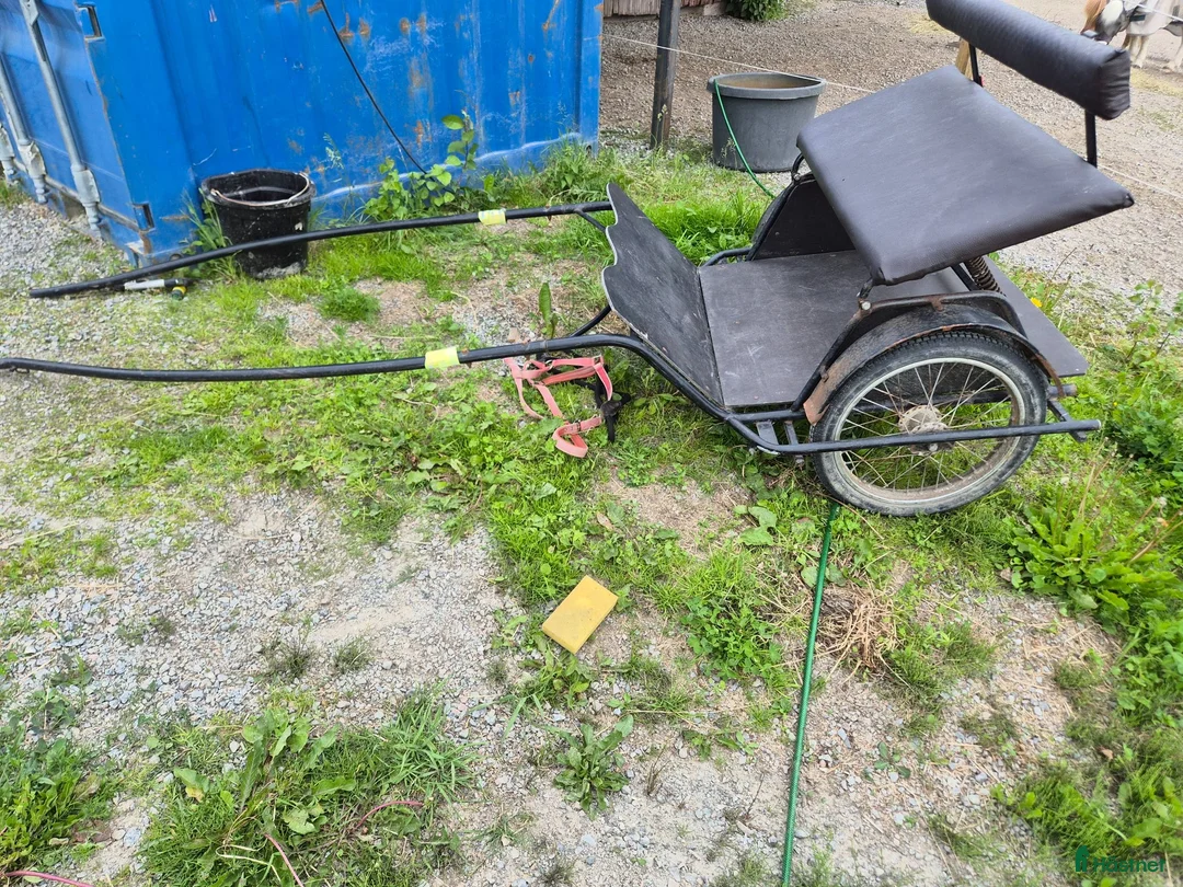 Körvagnar körning till salu: Ponny vagn  - Annons 2