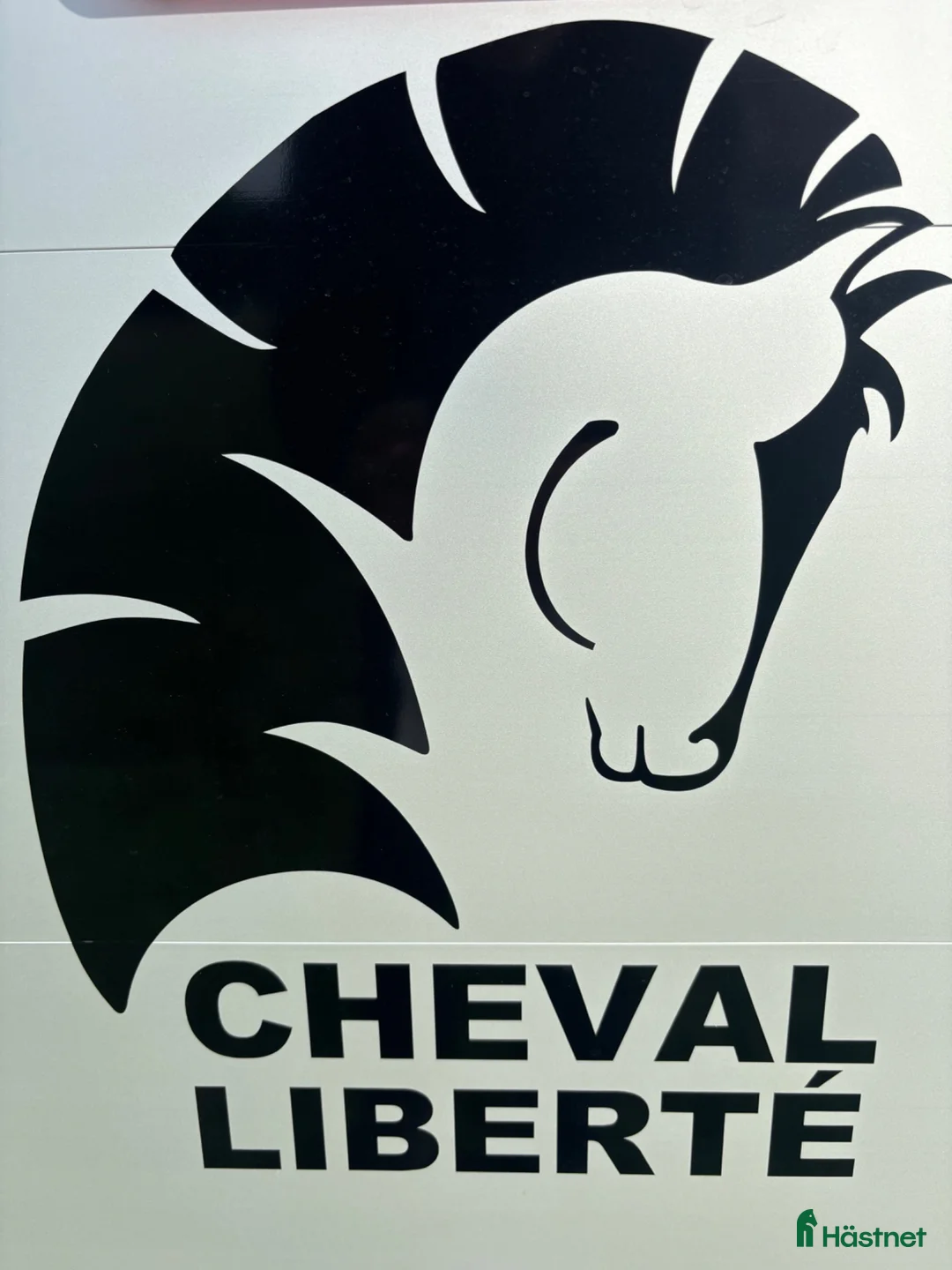 Hästtransporter  fordon & transport till salu: Cheval GOLD3  - Annons 10