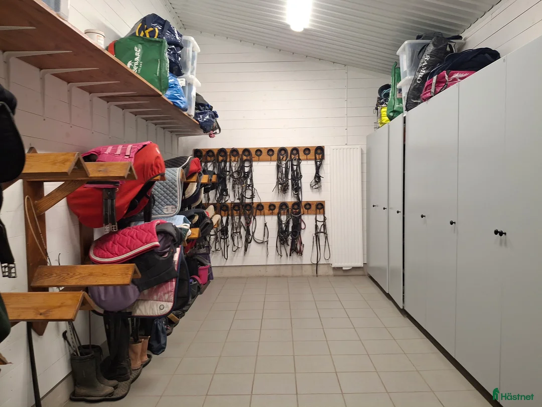  stallplats finnes: Stallplats Stall Folåsa i Vikingstad - Annons 5