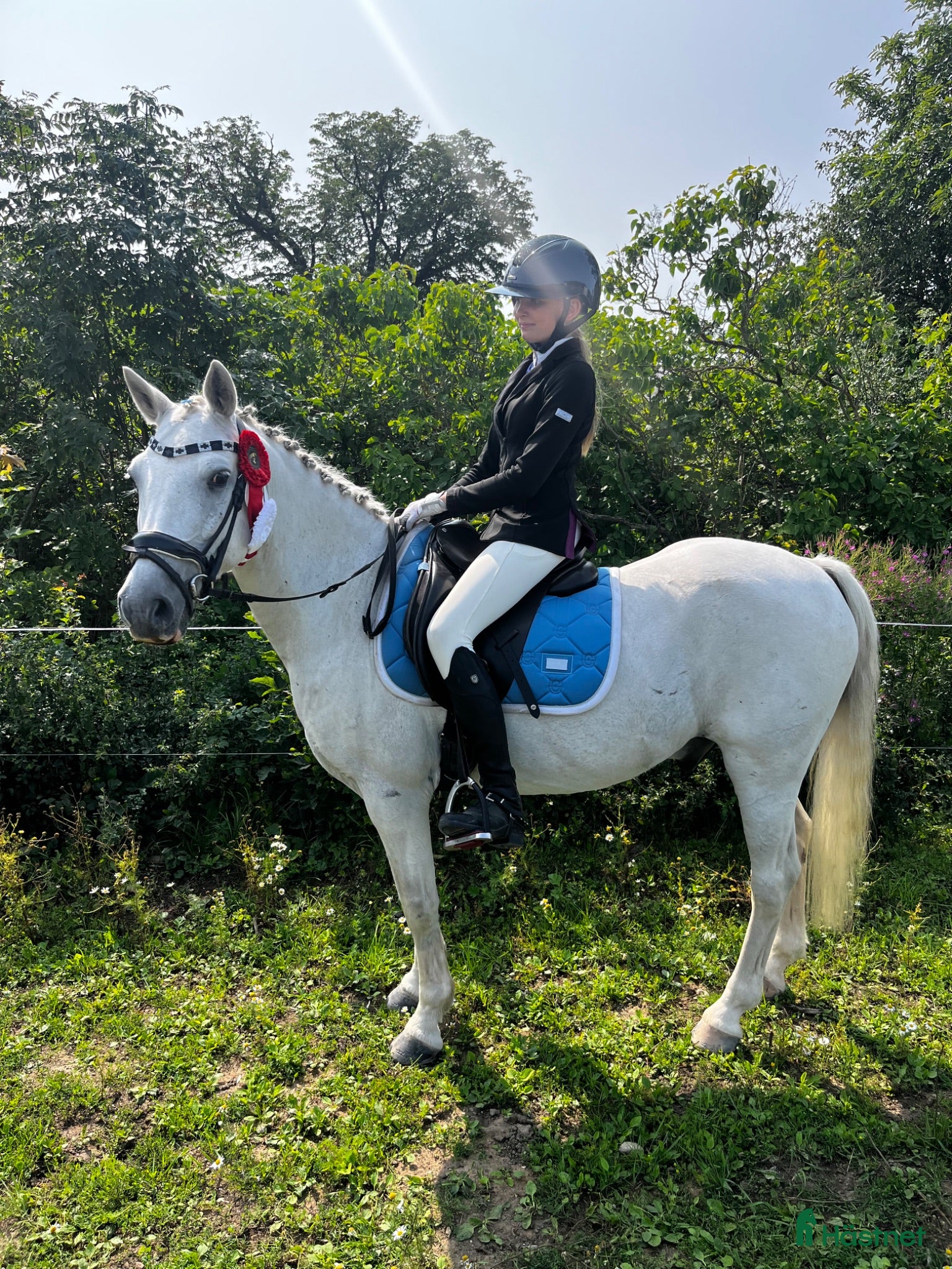  hästar En ponny med mycke personlighet och charm!  - Annons 14