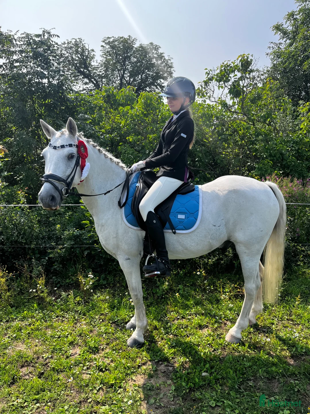 Allround hästar till salu: En ponny med mycke personlighet och charm!  - Annons 1